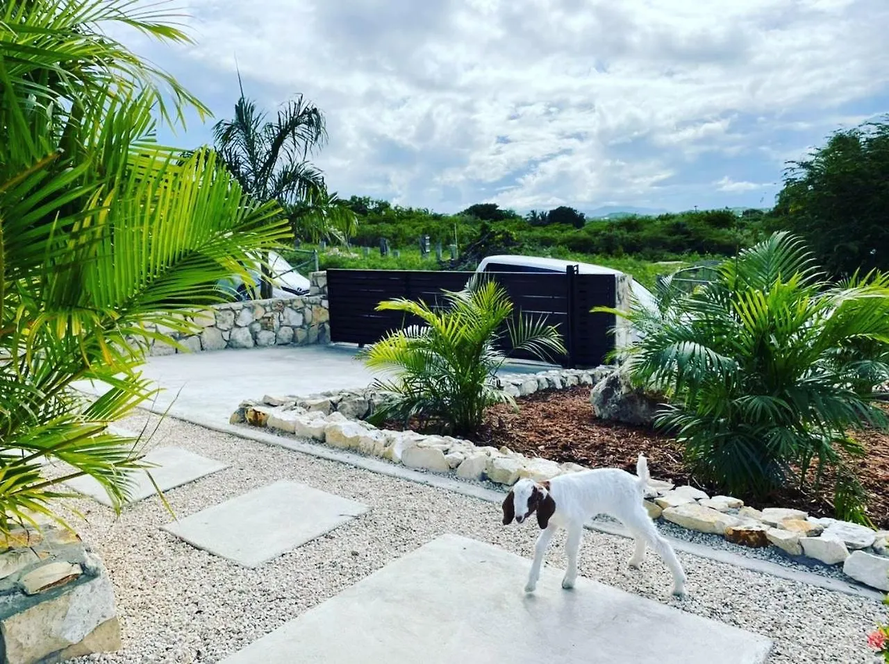 Holiday home Carthys Estate Villa Willikies